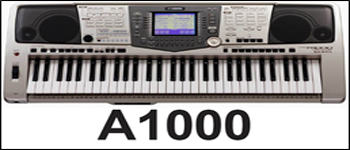 Yamaha A1000